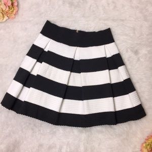 Textured Striped Skater Skirt